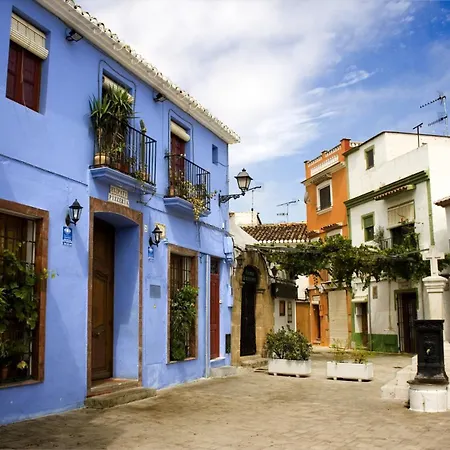 043 Olivar -grosella *