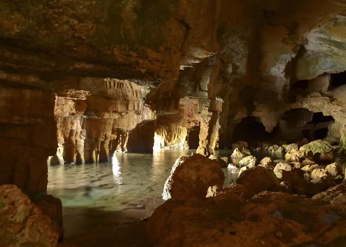 043 Olivar -grosella Βίλα *