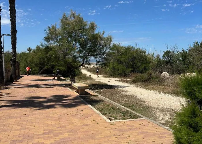 043 Olivar -grosella Βίλα *