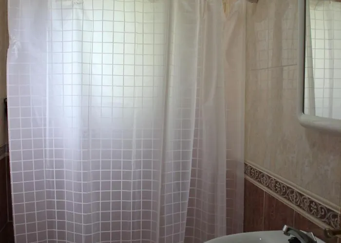 043 Olivar -grosella