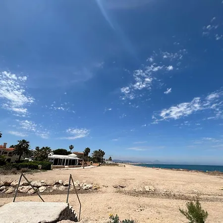 043 Olivar -grosella 데니아