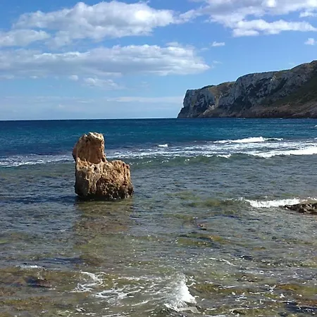 043 Olivar -grosella * 데니아