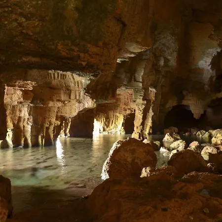 043 Olivar -grosella 빌라 *