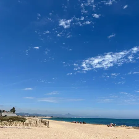 043 Olivar -grosella * 데니아