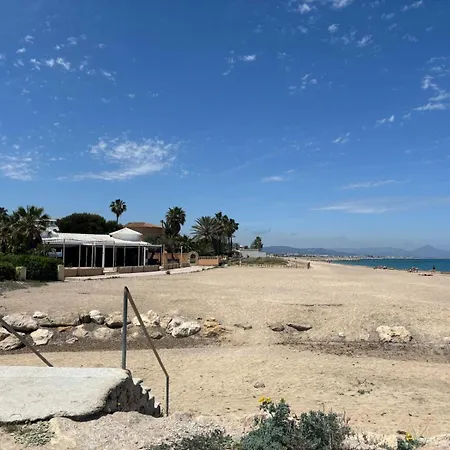 043 Olivar -grosella * 데니아