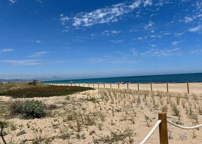 043 Olivar -grosella Denia