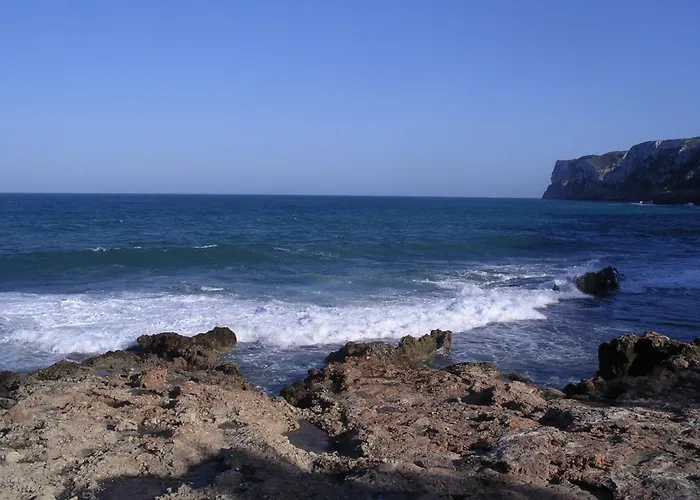 043 Olivar -grosella