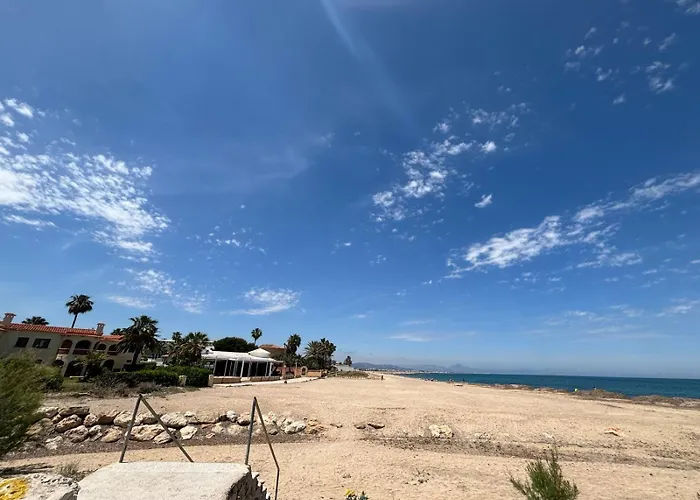 043 Olivar -grosella Denia