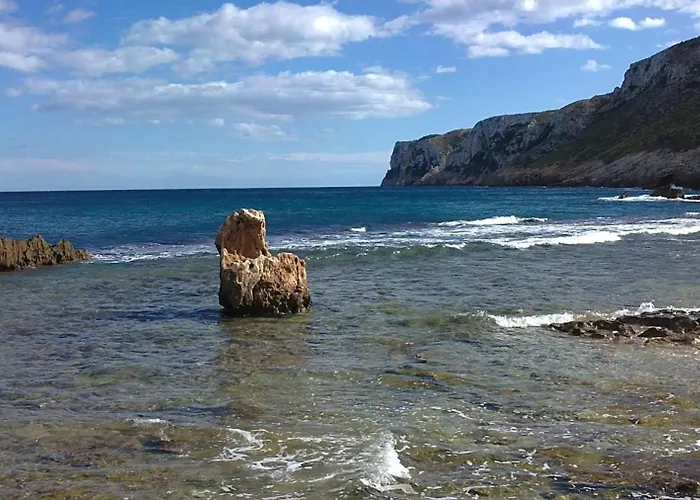 043 Olivar -grosella * Denia