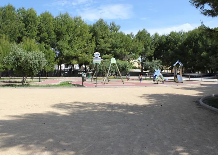 043 Olivar -grosella Denia